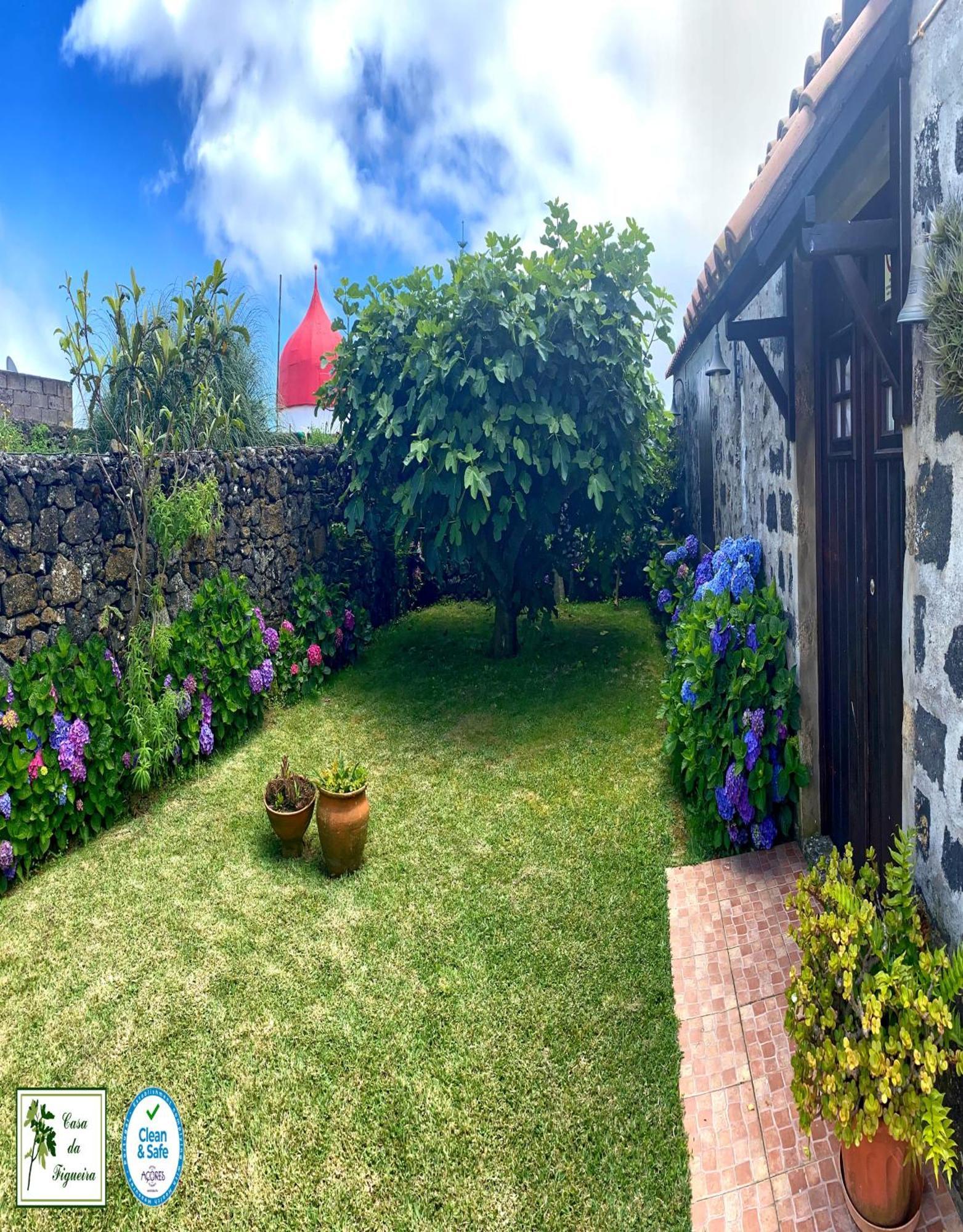 Alojamento Casa Da Figueira Ponta Delgada  Bagian luar foto